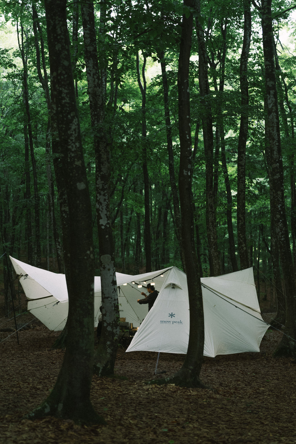 Snow Peak Land Station Tent Set