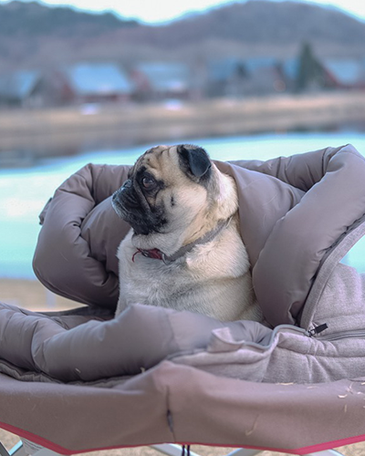 Snow Peak Dog Ofuton Sleeping Bag