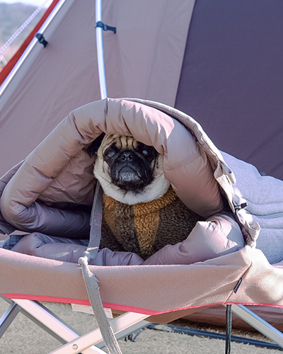 Snow Peak Dog Ofuton Sleeping Bag