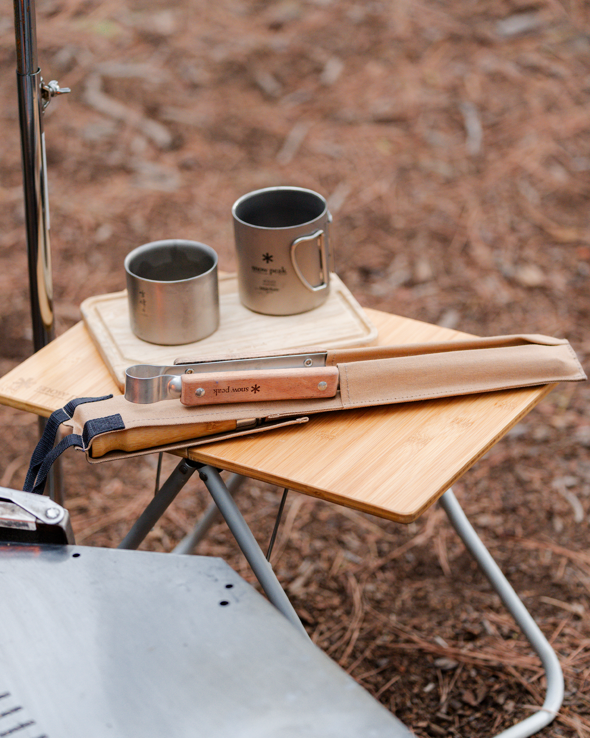 Snow Peak Ti-Double 450 Mug